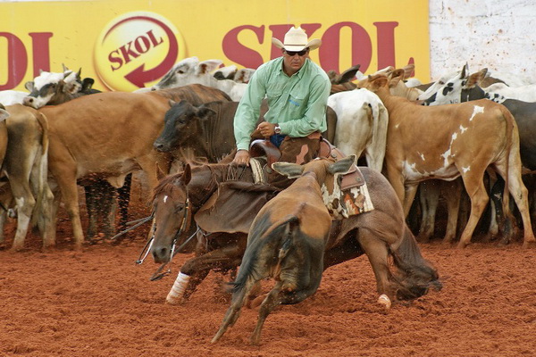 Aroldo Jos� Marcelino